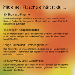 Ingwerkonzentrat mit Kurkuma